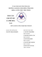 BÁO CÁO CHUYÊN ĐỀ CÀ PHÊ HÒA TAN pdf