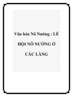 Văn hóa Nõ Nường : LỄ HỘI NÕ NƯỜNG Ở CÁC LÀNG pptx