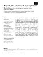 Báo cáo khoa học: Biochemical characterization of the major sorghum grain peroxidase pptx