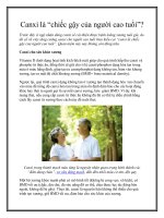 Canxi là “chiếc gậy của người cao tuổi”? ppt