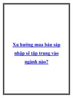 Xu hướng mua bán sáp nhập sẽ tập trung vào ngành nào docx