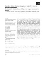 Báo cáo khoa học: Insertion of the plant photosystem I subunit G into the thylakoid membrane In vitro and in vivo studies of wild-type and tagged versions of the protein doc