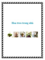 Hoa treo trong nhà docx