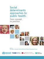 Social determinants approaches to public health: from concept to practice docx