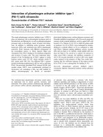 Báo cáo Y học: Interaction of plasminogen activator inhibitor type-1 (PAI-1) with vitronectin Characterization of different PAI-1 mutants pdf