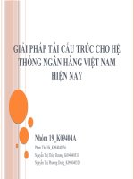 GIẢI PHÁP TÁI CẤU TRÚC CHO HỆ THỐNG NGÂN HÀNG VIỆT NAM HIỆN NAY