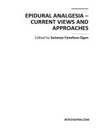 Epidural Analgesia – Current Views and Approaches Edited by Sotonye Fyneface-Ogan docx