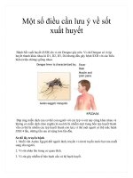 Một số điều cần lưu ý về sốt xuất huyết pot