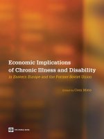Economic Implications Of Chronic Illness And Disability In Eastern Europe And The Former Soviet Union pptx