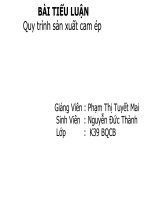 Quy trình sản xuất cam ép doc