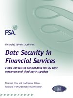 Financial Services Authority Data Security in Financial Services pdf