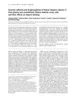 Báo cáo Y học: Tyrosine sulfation and N-glycosylation of human heparin cofactor II from plasma and recombinant Chinese hamster ovary cells and their effects on heparin binding pot
