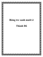 Rừng tre xanh mướt ở Thành Đô pptx