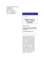 Luận án tiến sỹ 