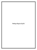 Dưỡng trắng da cấp tốc doc