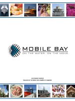 AN ECONOMIC OVERVIEW PUBLISHED BY THE MOBILE AREA CHAMBER OF COMMERCE doc