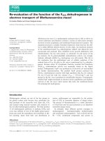 Báo cáo khoa học: Re-evaluation of the function of the F420dehydrogenase in electron transport ofMethanosarcina mazei potx