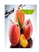 Quả đào sinh tân, hoạt huyết potx