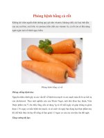 Phòng bệnh bằng cà rốt pot