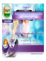 Báo cáo đề tài Quy trình sản xuất penicillin từ vi sinh vật potx