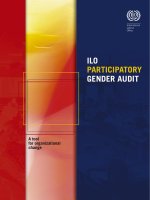 ILO PARTICIPATORY GENDER AUDIT: A tool for organizational change docx
