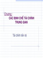 Bài giảng Tài chính tiền tệ chương : Tai chinh trung gian