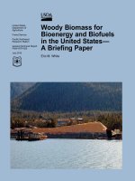 Woody Biomass for Bioenergy and Biofuels in the United States— A Briefing Paper doc
