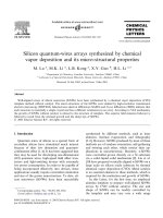 Silicon quantum wires arrays synthesized by chemical vapor deposition and its micro structural properties