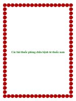 Các bài thuốc phòng chữa bệnh từ thuốc nam potx