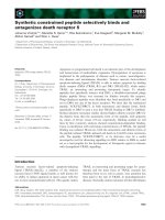 Báo cáo khoa học: Synthetic constrained peptide selectively binds and antagonizes death receptor 5 ppt