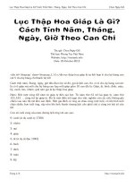 Lục Thập Hoa Giáp Là Gì? Cách Tính Năm, Tháng, Ngày, Giờ Theo Can Chi pptx