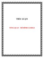 TIỂU LUẬN: TỔNG QUAN MÔ HÌNH CAMELS ppt