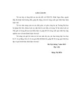 LUẬN VĂN THẠC SĨ KHOA HỌC LỊCH SỬ - Quan hệ đối ngoại của vương triều Majapahit với các nước khu vực Đông Nam Á và Đông Bắc Á (thế kỉ XIII - XVI)