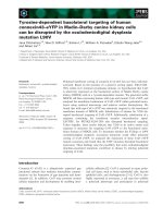 Báo cáo khoa học: Tyrosine-dependent basolateral targeting of human connexin43–eYFP in Madin–Darby canine kidney cells can be disrupted by the oculodentodigital dysplasia mutation L90V ppt