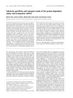 Báo cáo khoa học: Substrate speciﬁcity and transport mode of the proton-dependent amino acid transporter mPAT2 potx