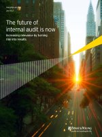 The future of internal audit is now Increasing relevance by turning risk into results pot
