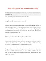 5 lợi ích tuyệt vời cho sức khỏe từ rau diếp doc