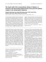 Báo cáo khoa học: The GxxxG motif of the transmembrane domain of subunit e is involved in the dimerization/oligomerization of the yeast ATP synthase complex in the mitochondrial membrane doc