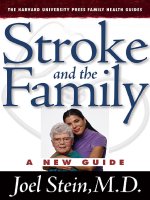 Stroke and the Family a new guide pdf
