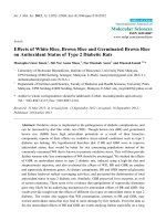 Effects of white rice, brown rice and germinated brown rice