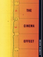 The Cinema Effect docx