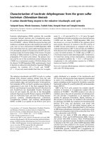 Báo cáo khoa học: Characterization of isocitrate dehydrogenase from the green sulfur bacterium Chlorobium limicola A carbon dioxide-ﬁxing enzyme in the reductive tricarboxylic acid cycle ppt