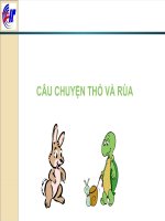CÂU CHUYỆN THỎ VÀ RÙA pot