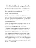 Một số lưu ý khi tham gia quảng cáo tìm kiếm doc