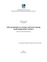 Sales promotion as strategy and tactic among small independent retailers pptx