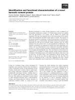 Báo cáo khoa học: Identiﬁcation and functional characterization of a novel barnacle cement protein pptx