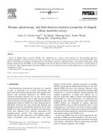 Raman spectroscopy and field electron emission properties of aligned silicon nanowire arrays