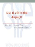 KINH TẾ MÔI TRƯỜNG (Bài giảng 13) pot