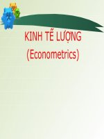 KINH TẾ LƯỢNG (Econometrics) ppt