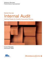 Market Survey Internal Audit Getting Ready for Quality Assurance Review pdf
